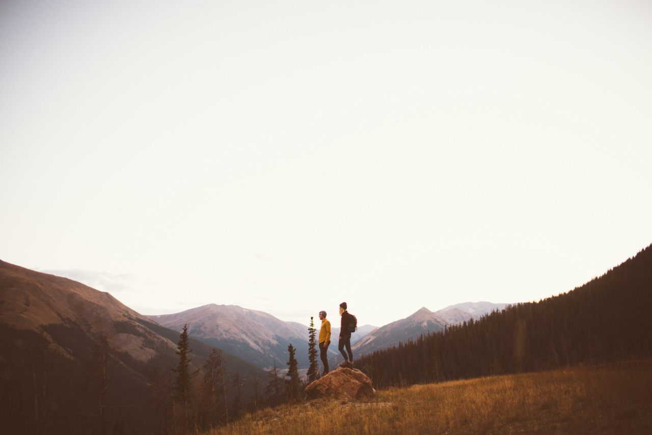 Archillect ID 378036