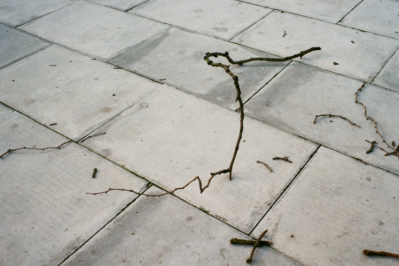 Archillect ID 378081