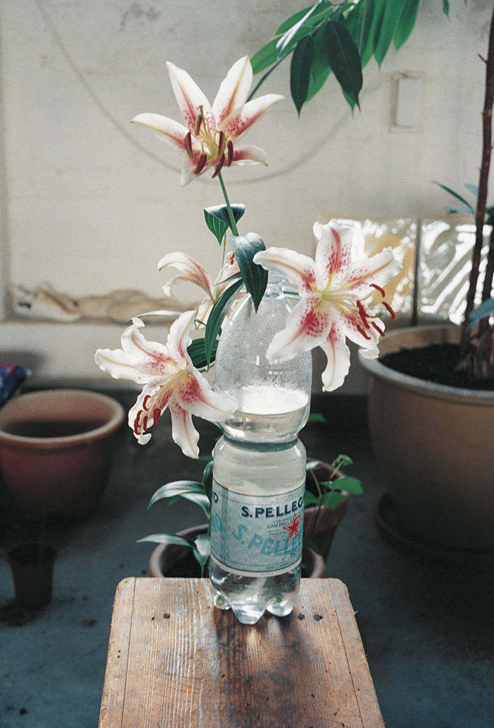 Archillect ID 378093