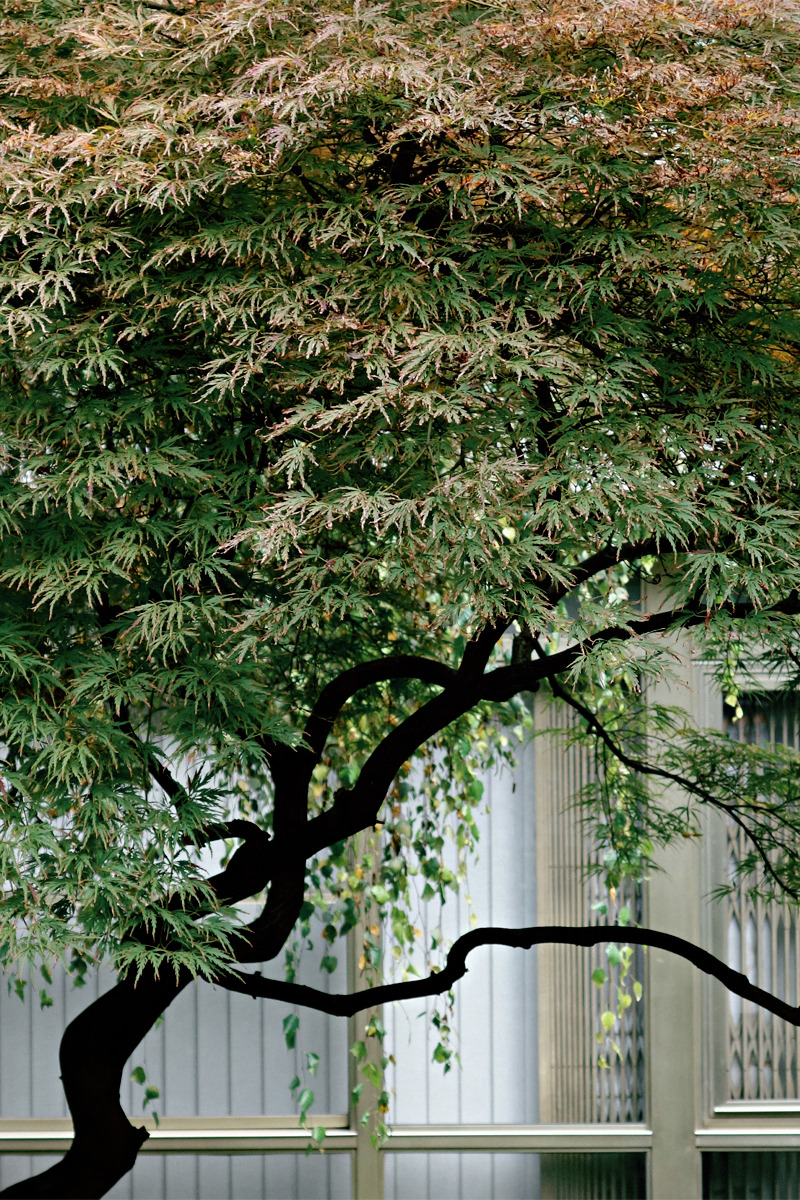 Archillect ID 378111