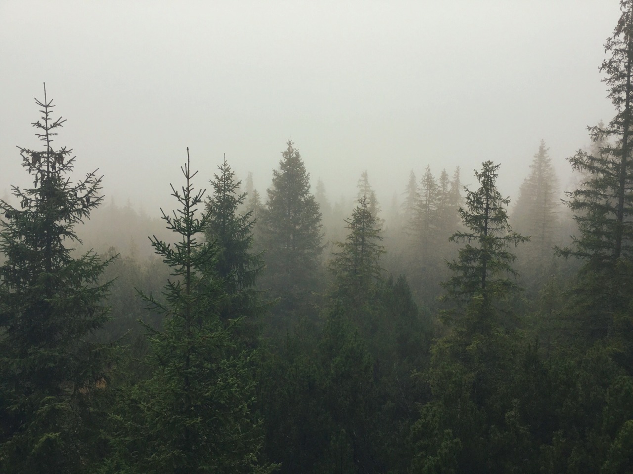 Archillect ID 378146