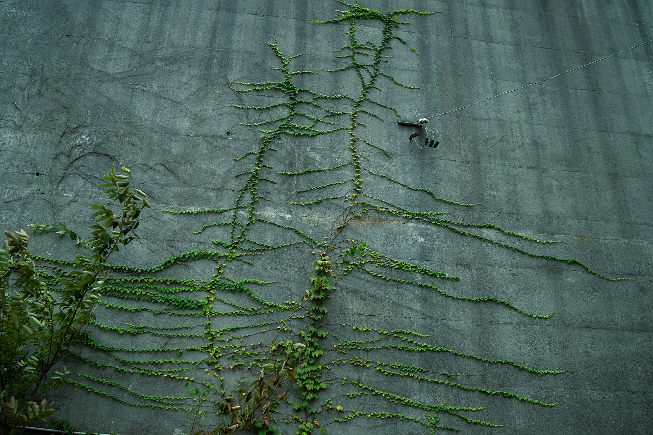 Archillect ID 378154