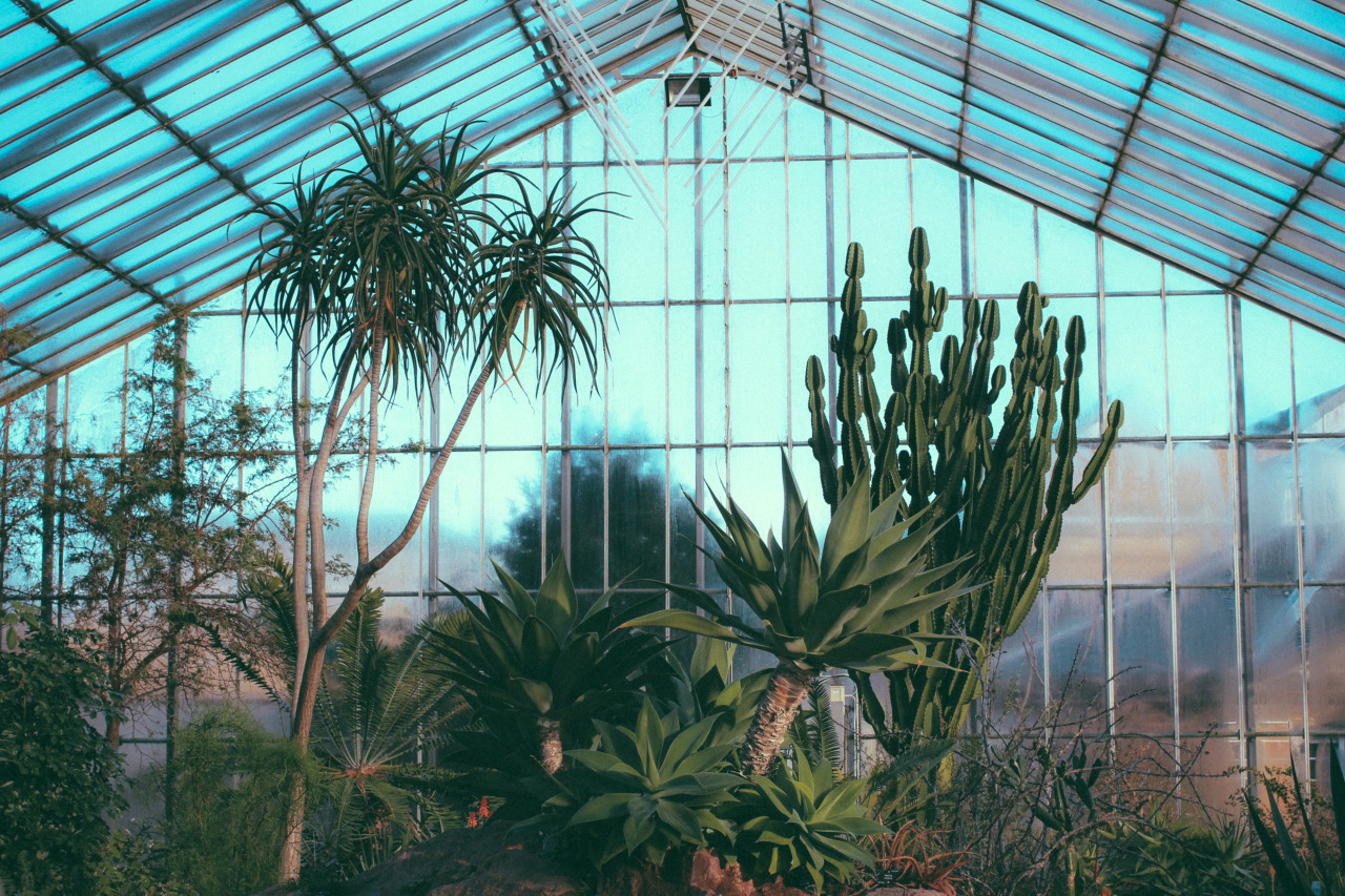 Archillect ID 378218