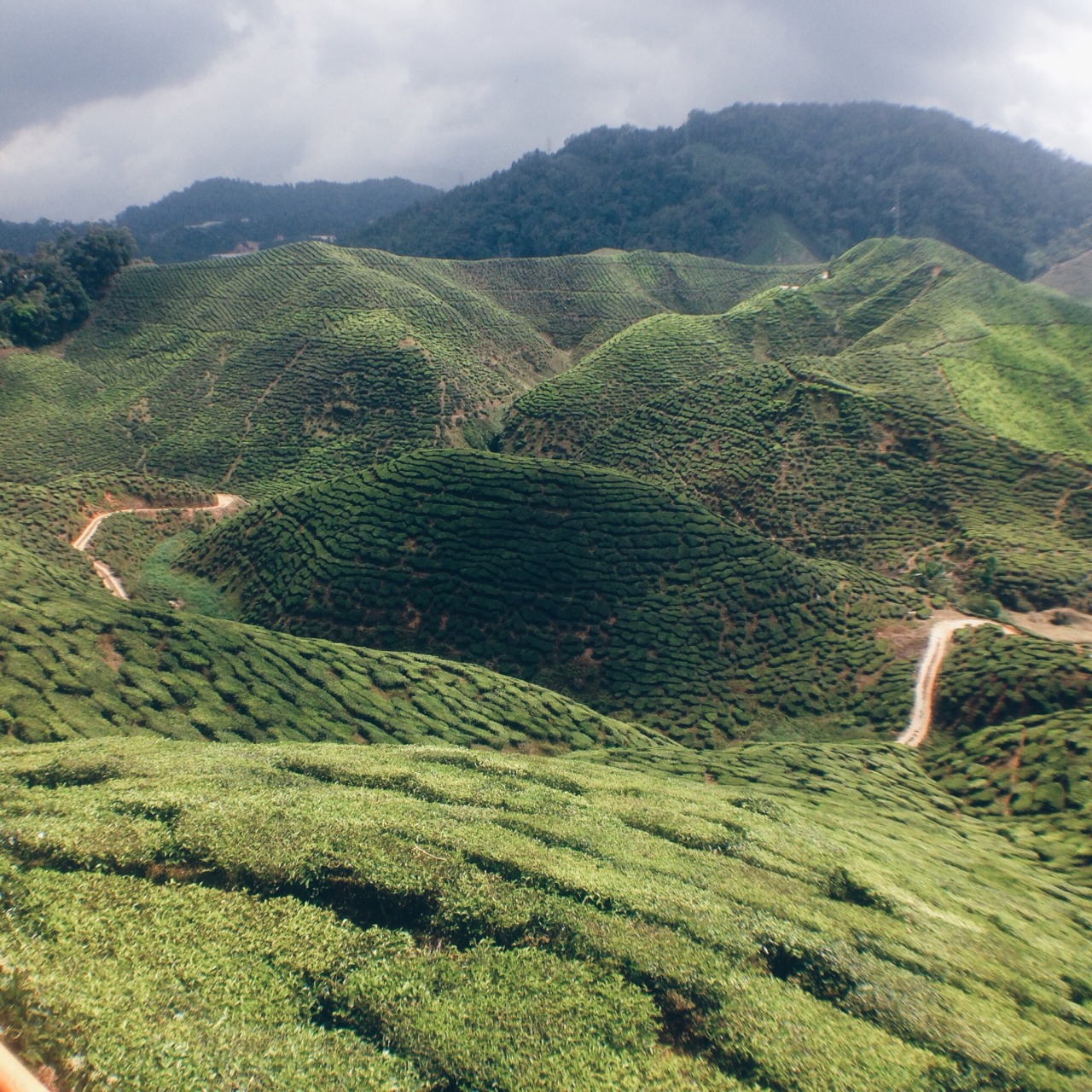 Archillect ID 378249