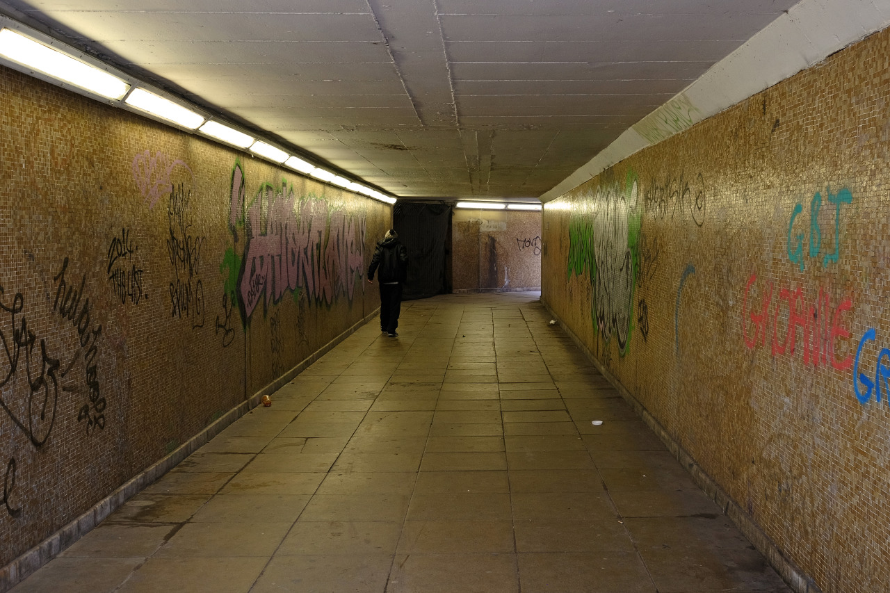 Archillect ID 378255