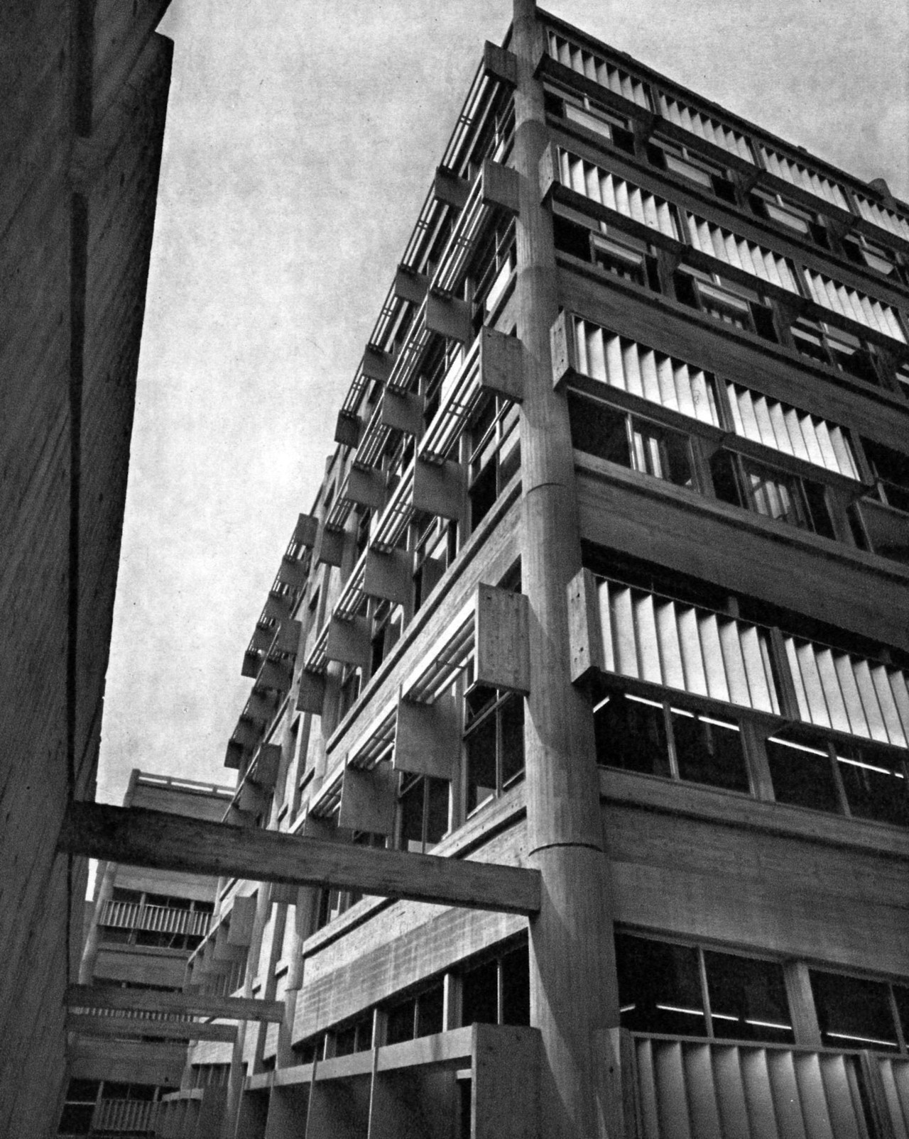 Archillect ID 378278