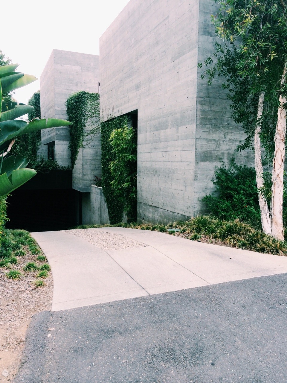 Archillect ID 378315