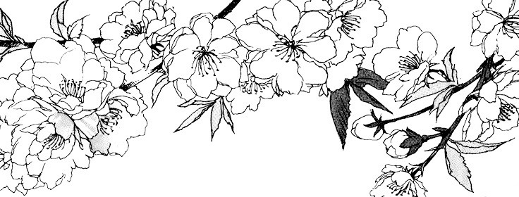 Archillect ID 378322