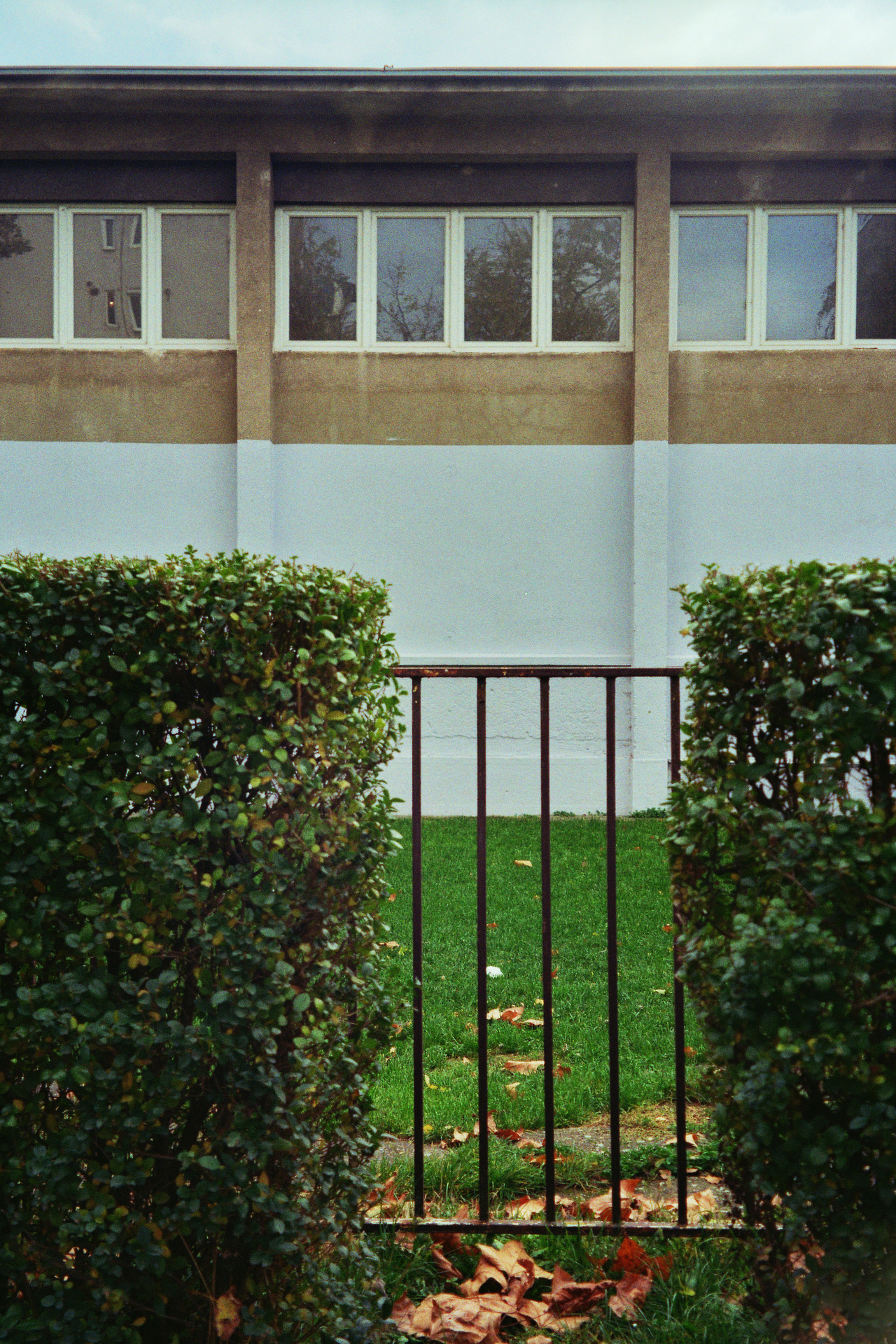 Archillect ID 378343