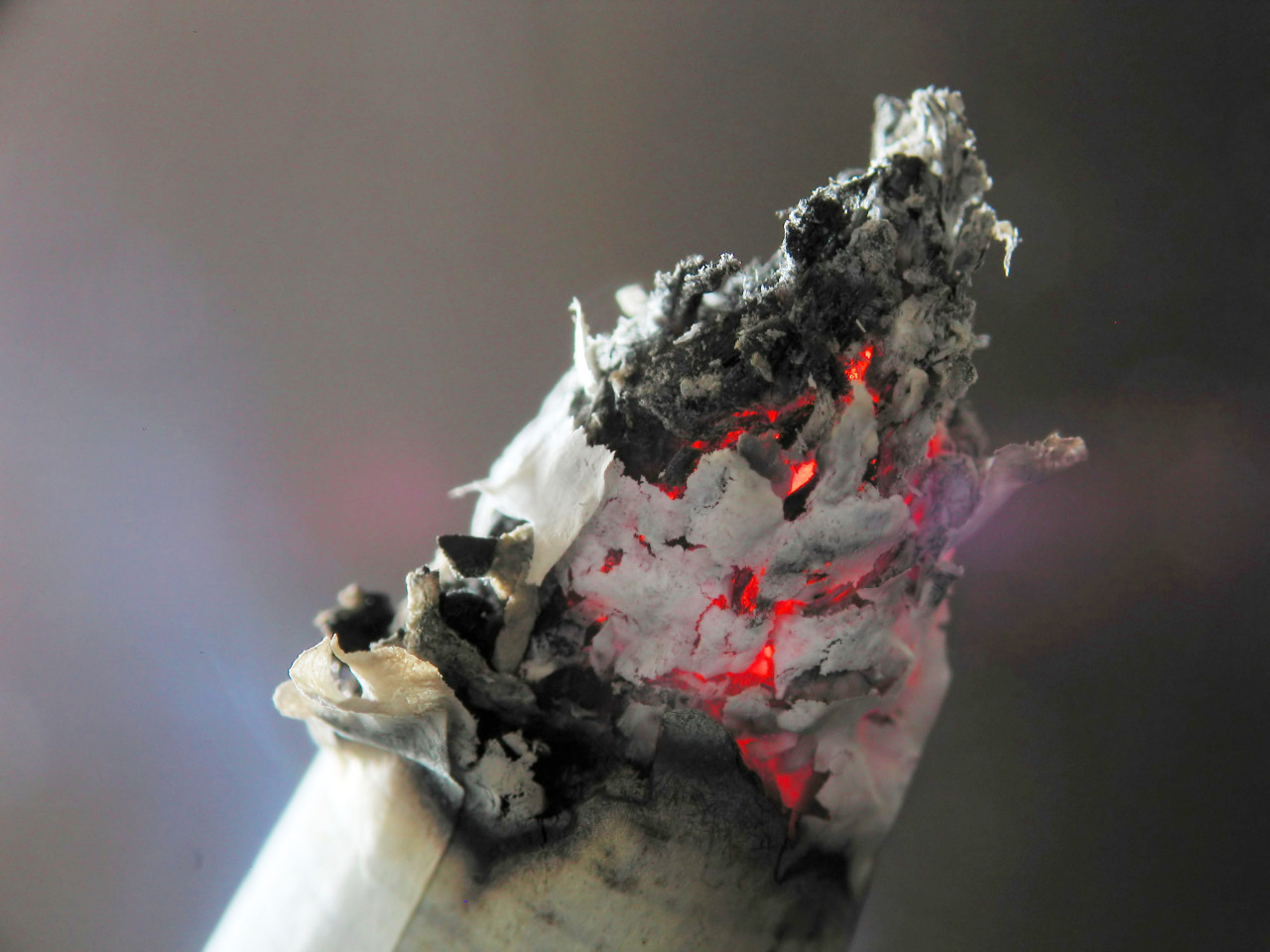 Archillect ID 378349