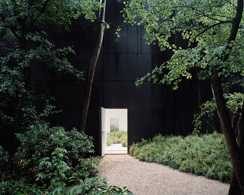 Archillect ID 378395