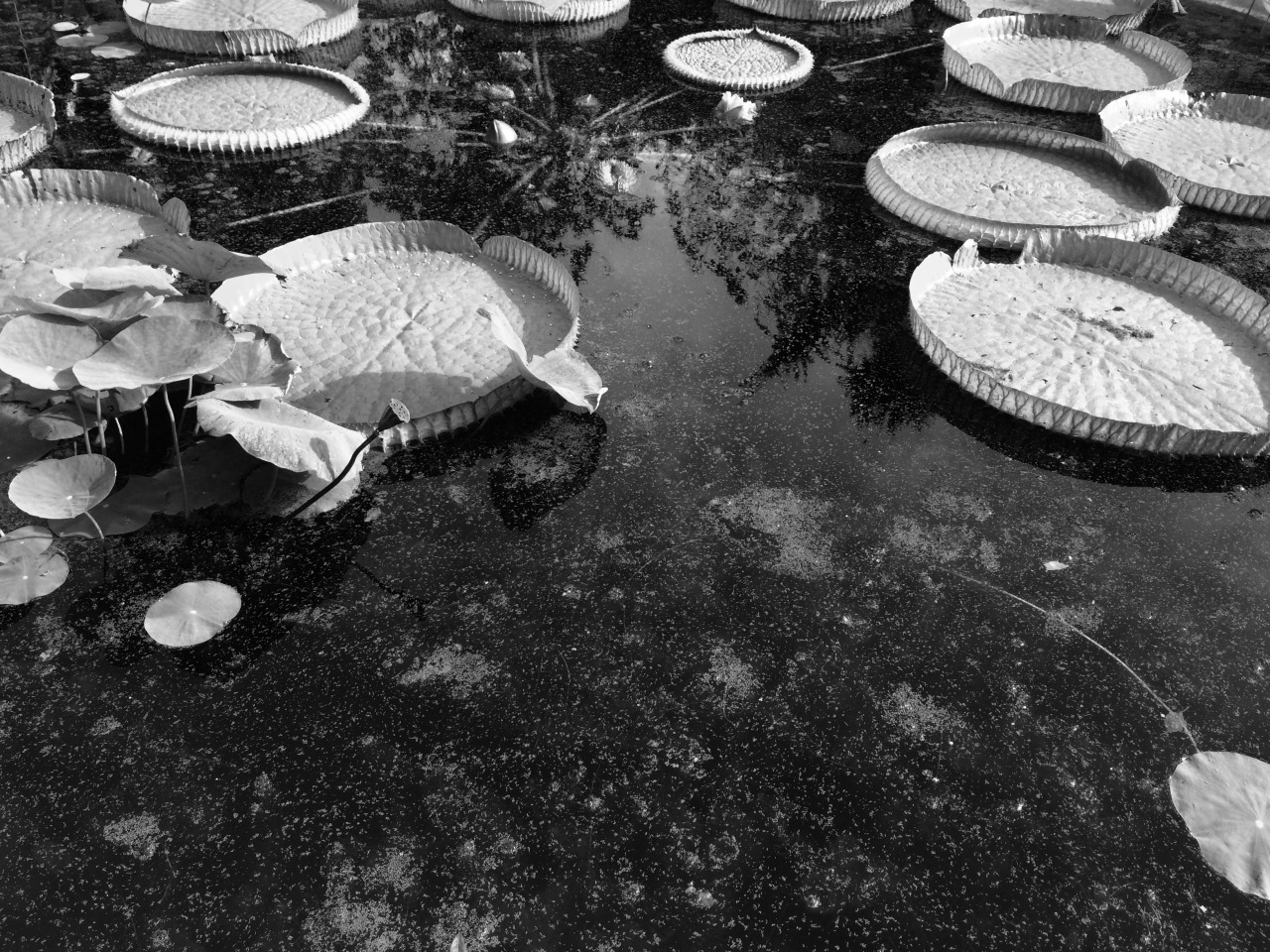 Archillect ID 378409