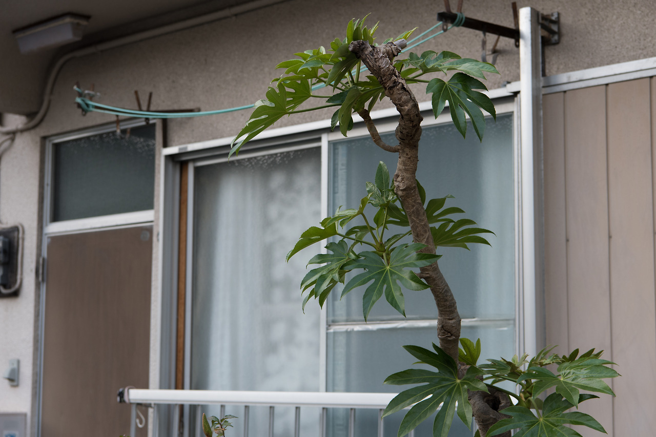 Archillect ID 378599