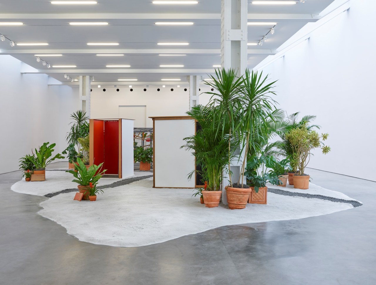 Archillect ID 378649