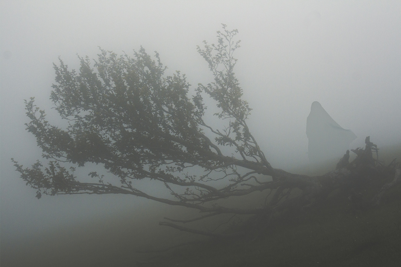 Archillect ID 378681