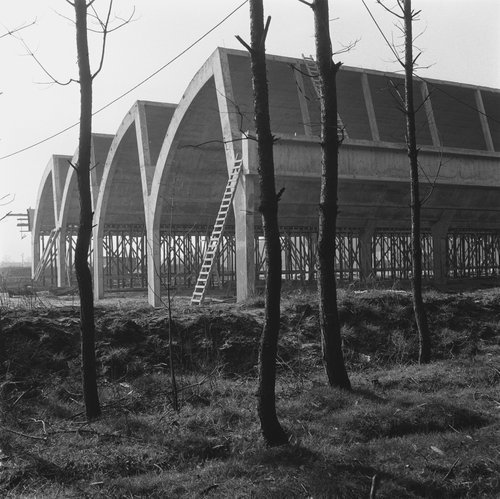 Archillect ID 378727