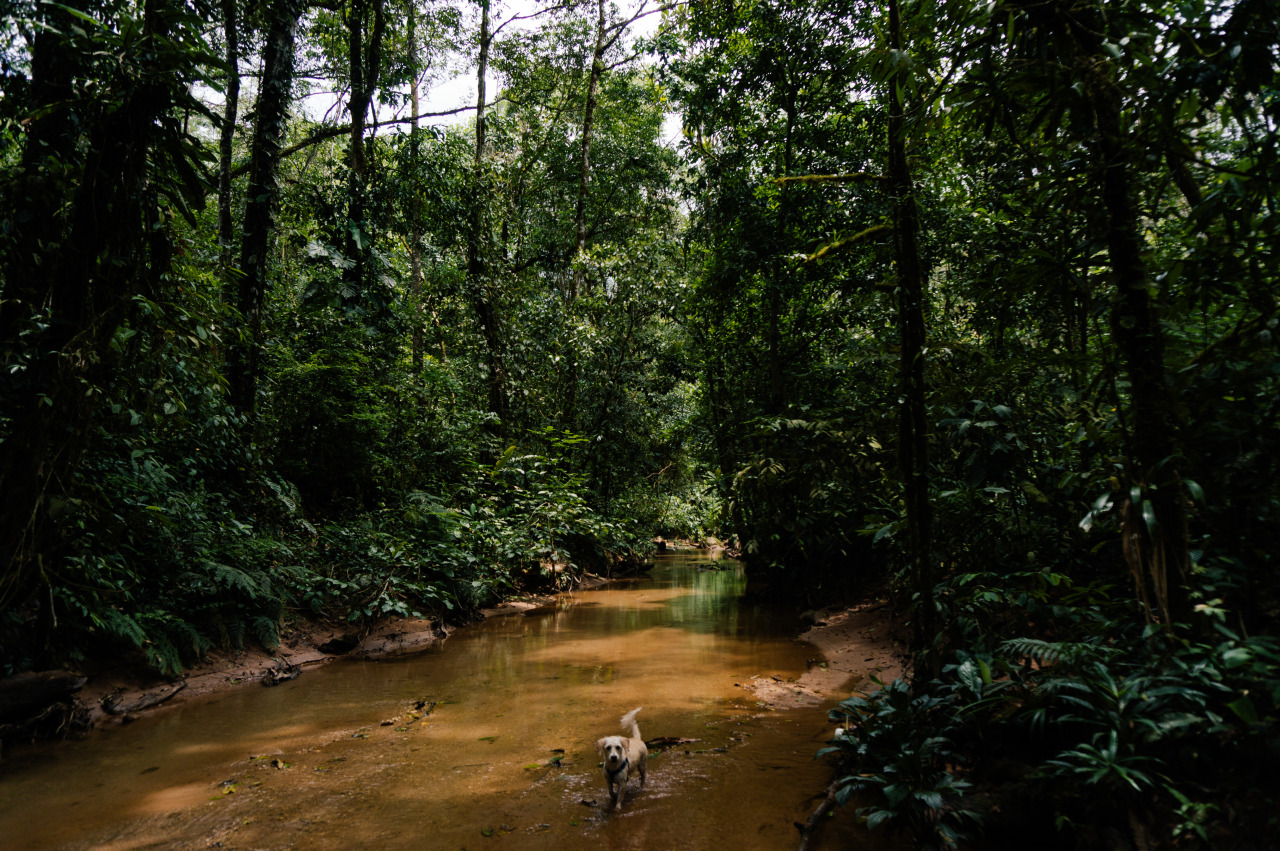 Archillect ID 378752