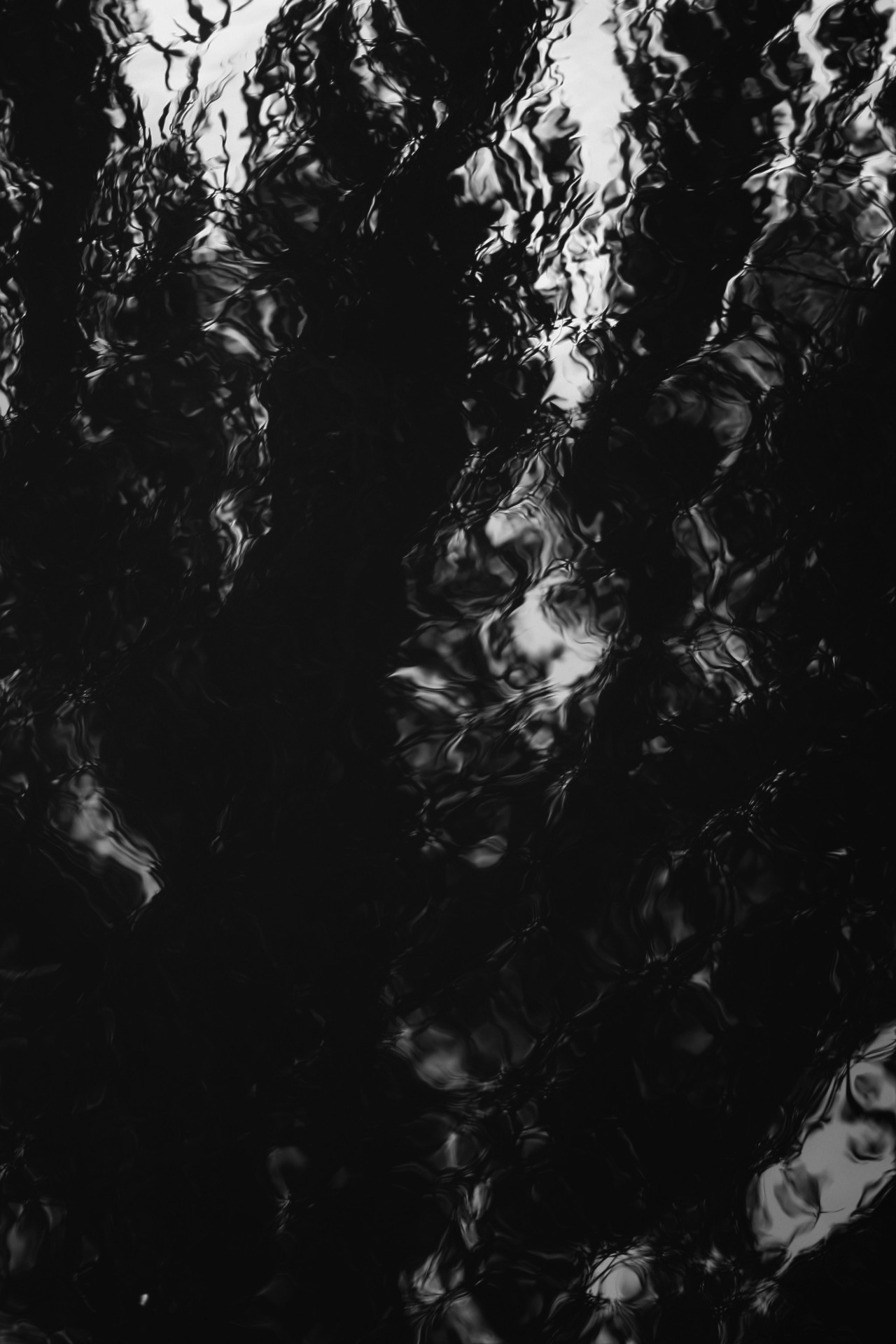 Archillect ID 378763