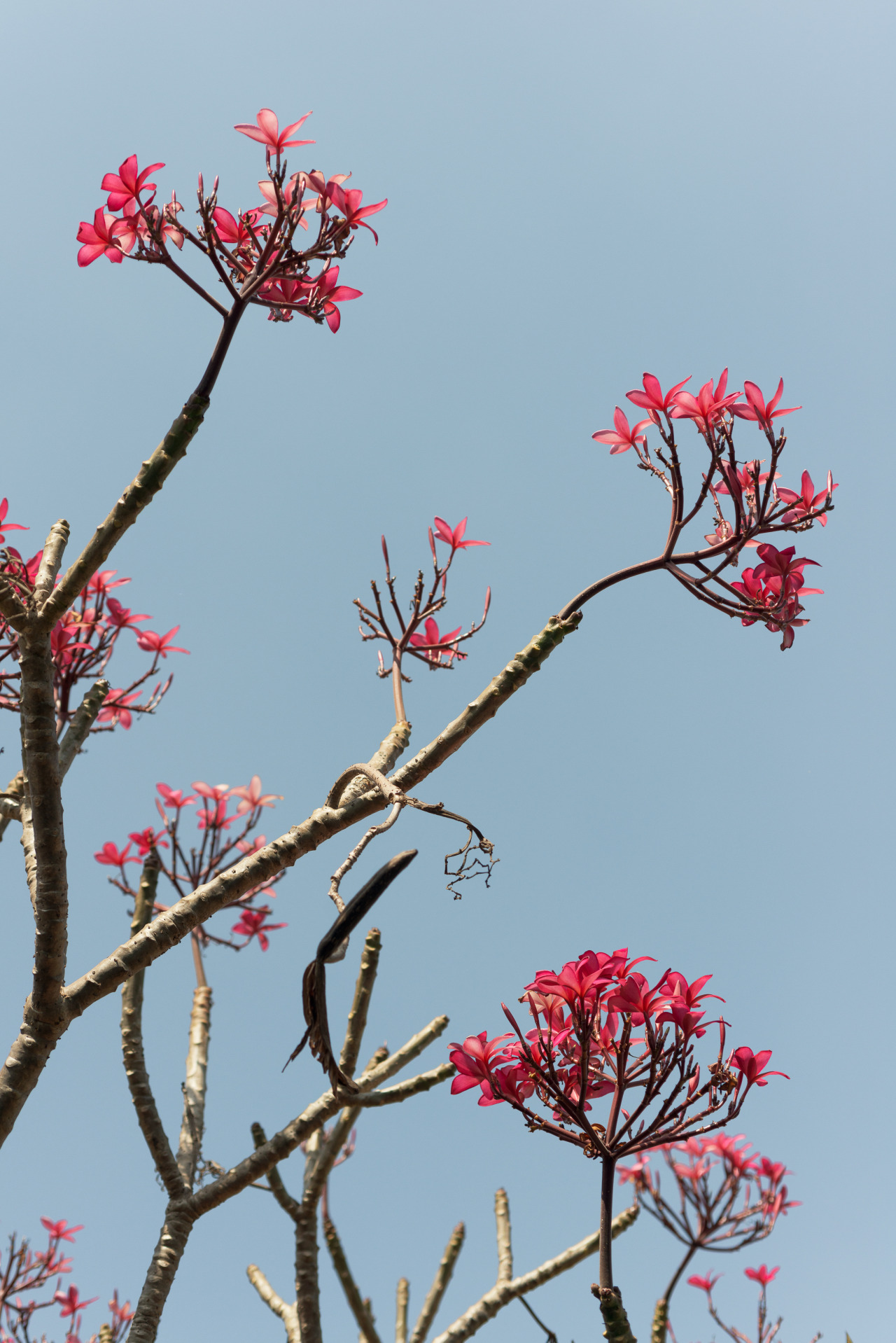 Archillect ID 378782