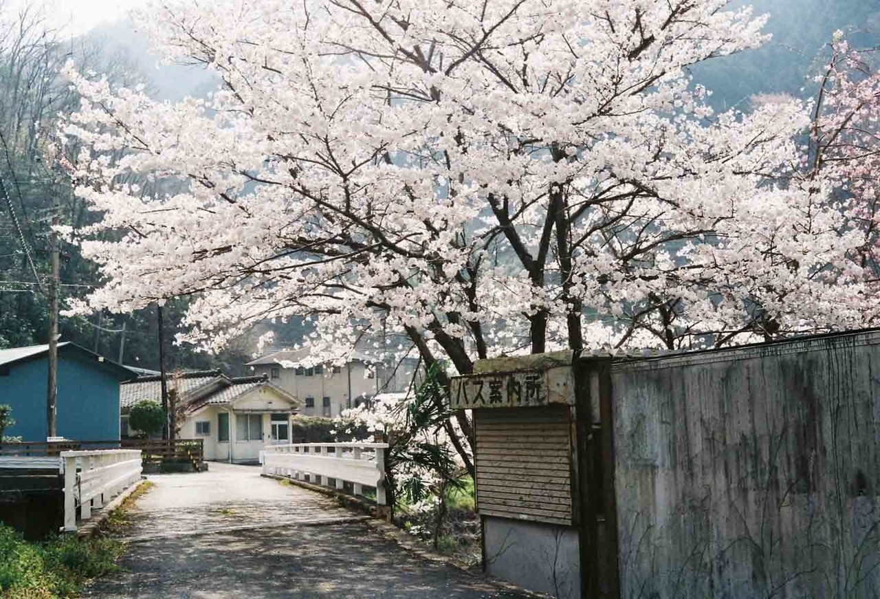 Archillect ID 378825