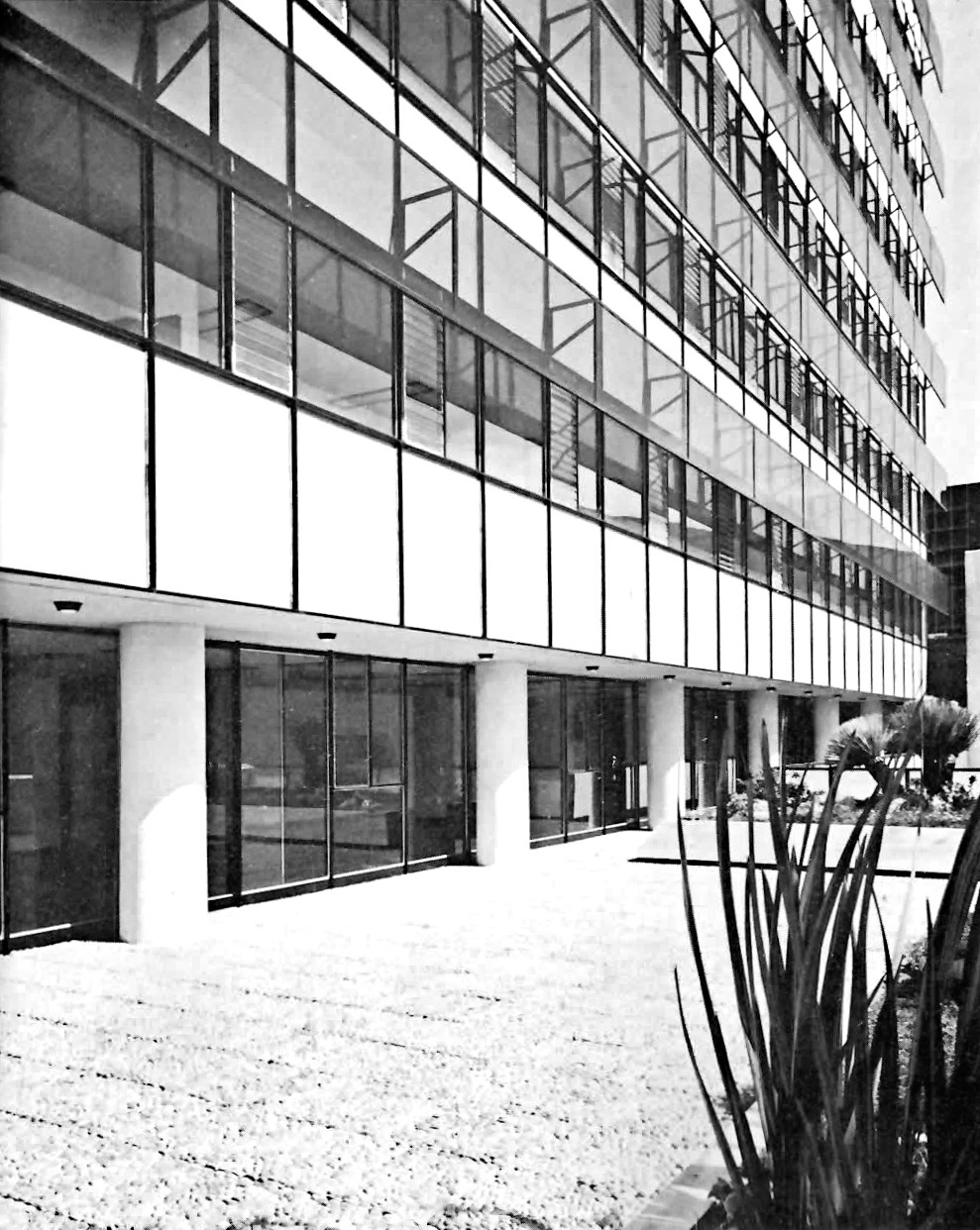 Archillect ID 378850