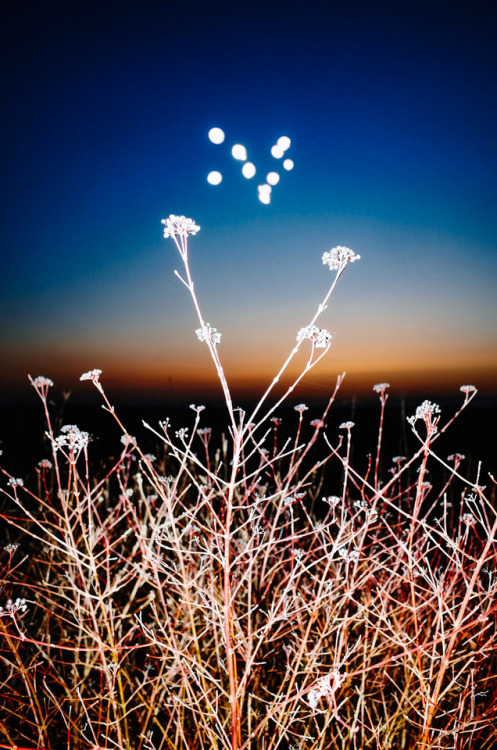 Archillect ID 378858