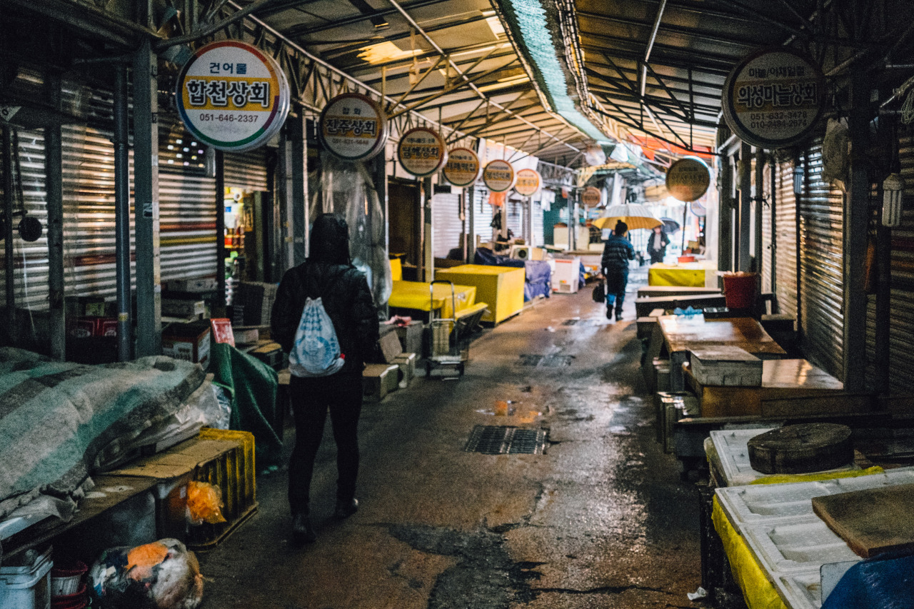 Archillect ID 378866