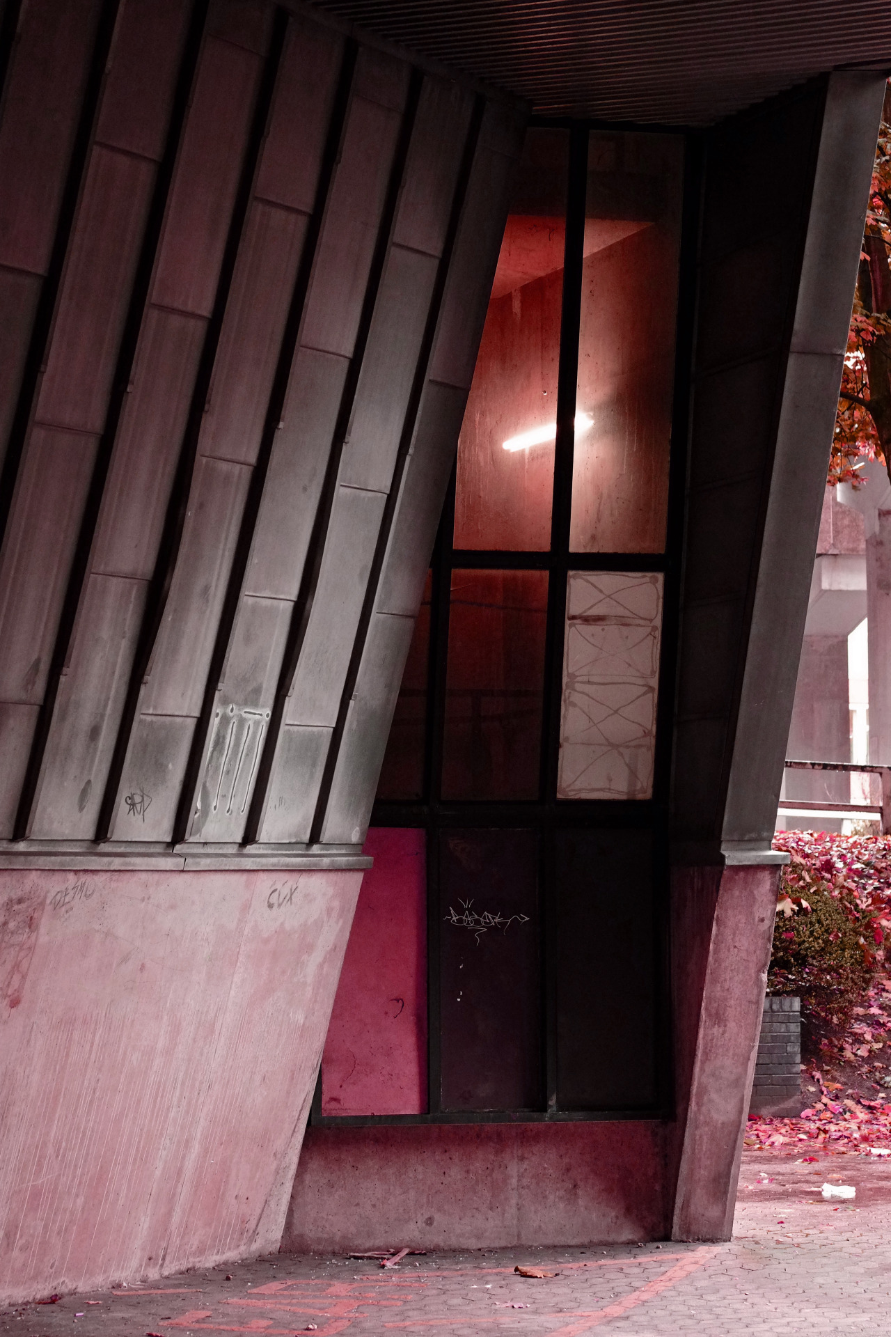 Archillect ID 378919