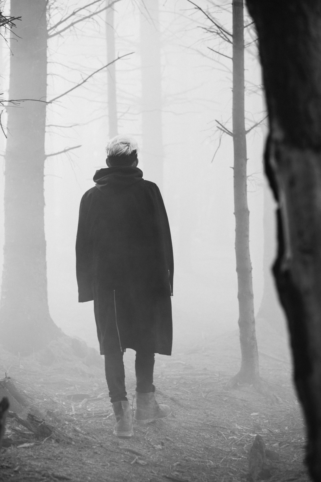 Archillect ID 379019