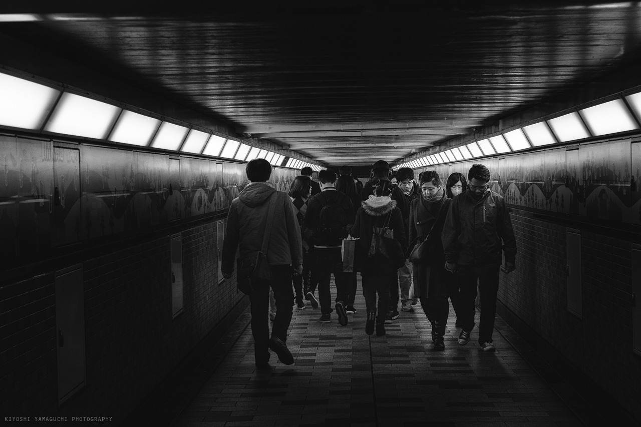 Archillect ID 379022