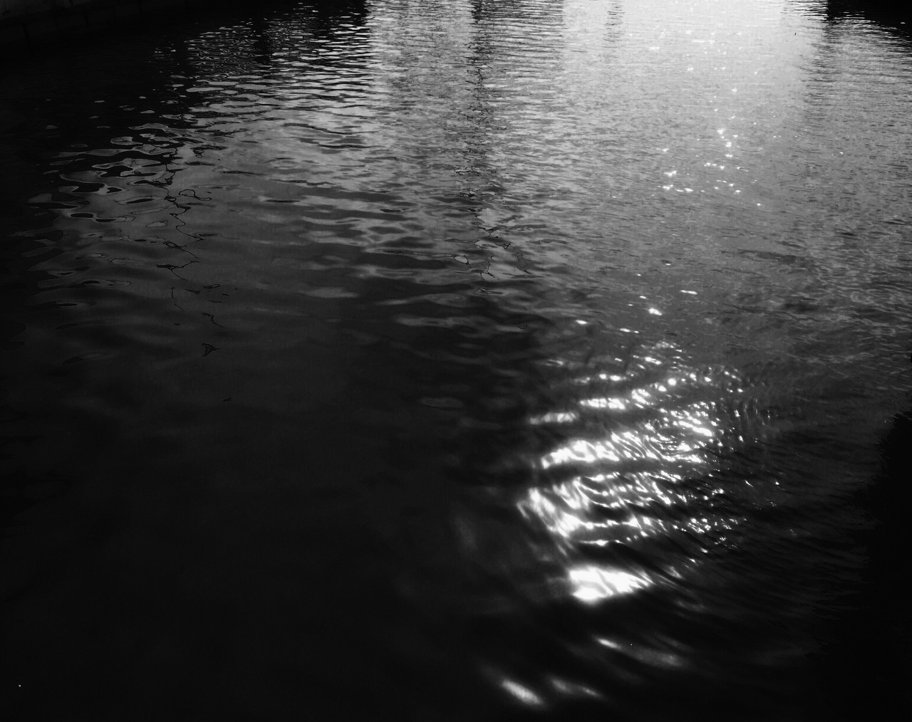 Archillect ID 379073