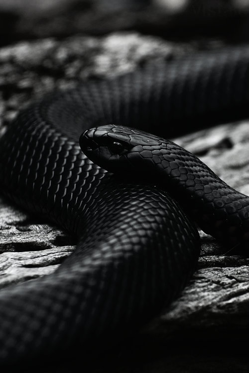 Archillect ID 379097