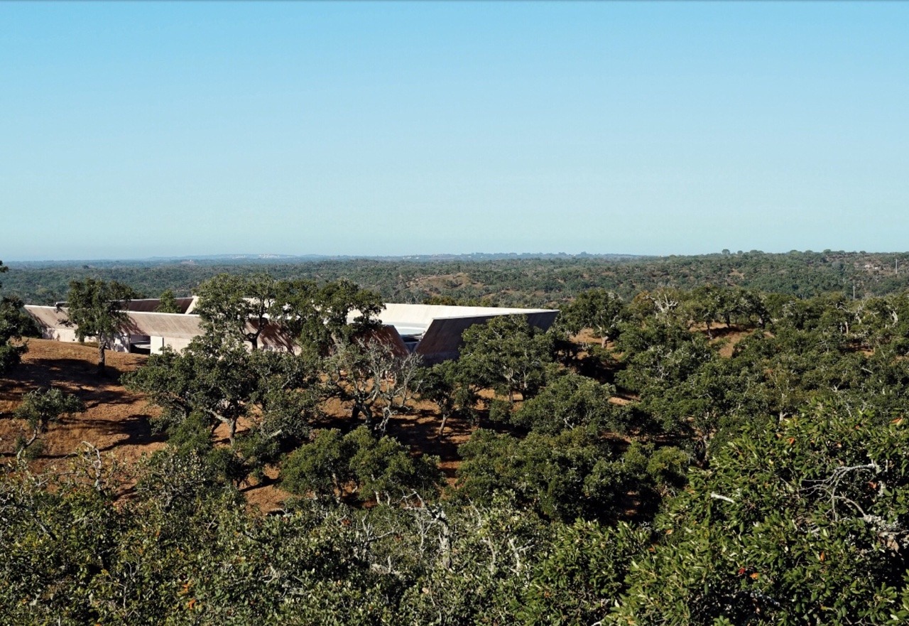 Archillect ID 379117