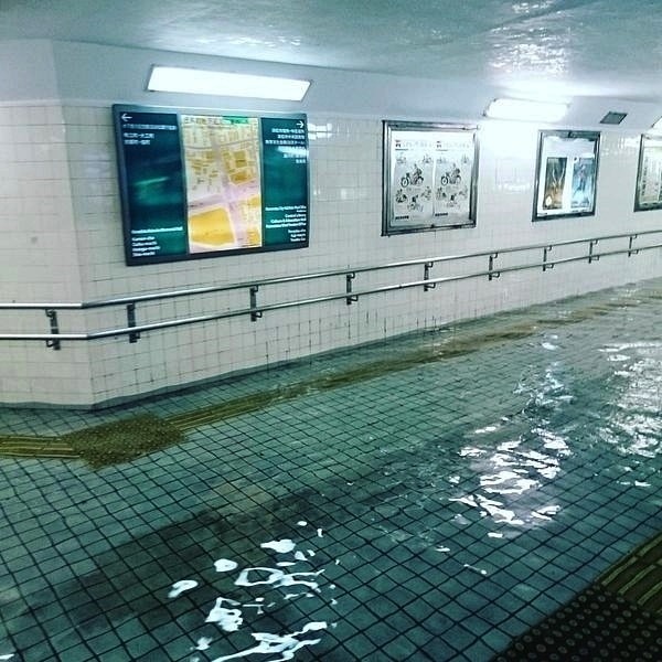 Archillect ID 379189