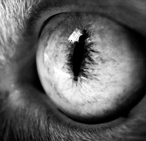 Archillect ID 379195