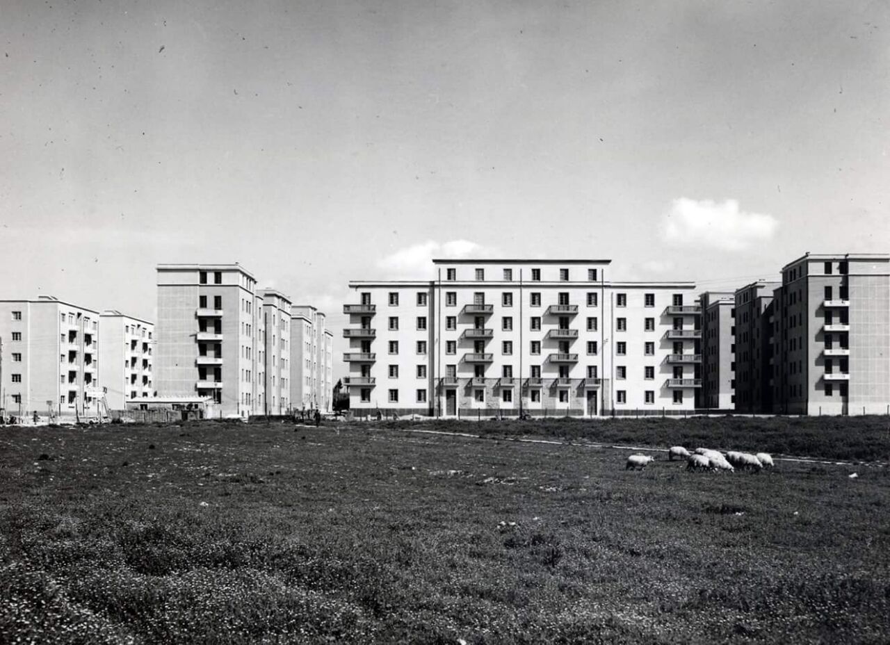 Archillect ID 379211