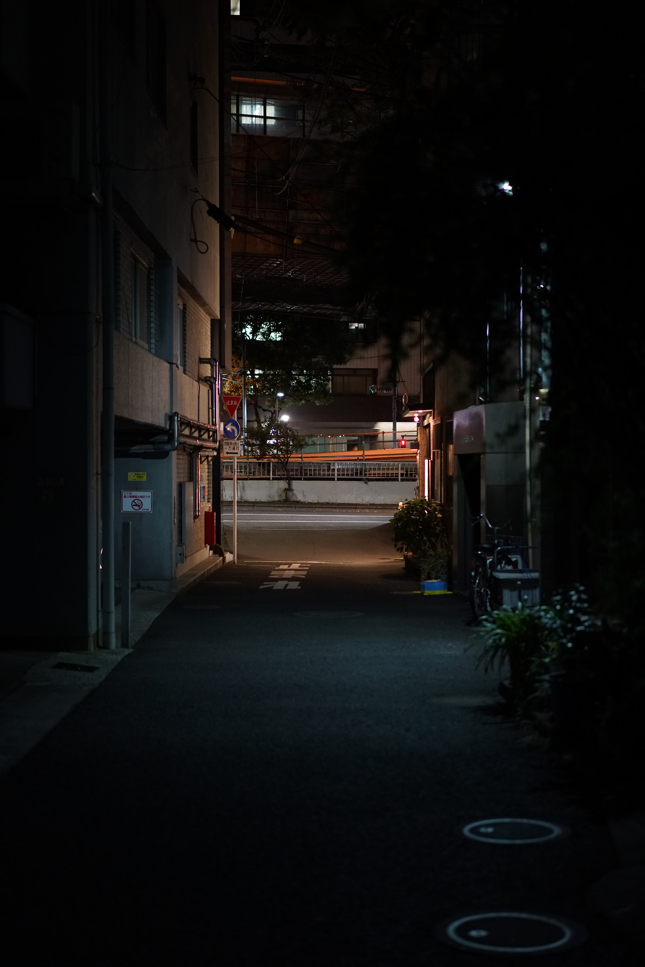 Archillect ID 379272