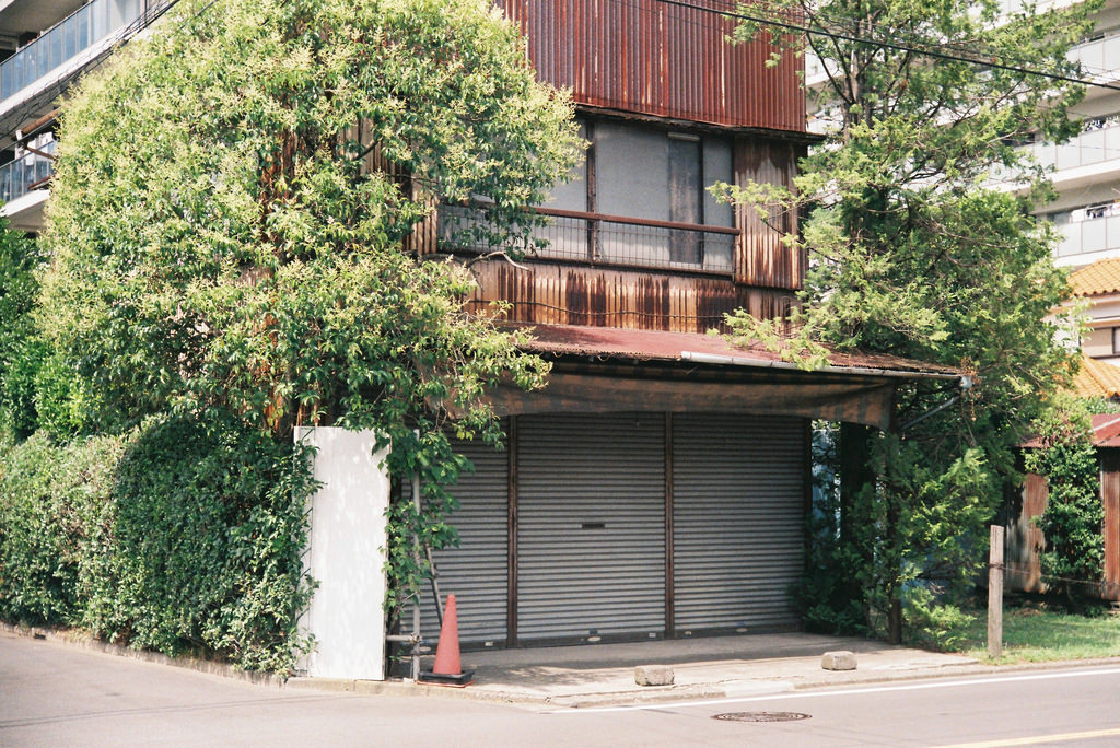 Archillect ID 379289