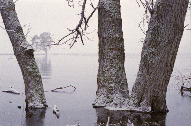 Archillect ID 379361