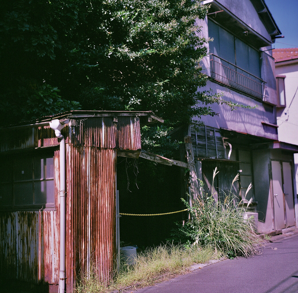 Archillect ID 379387