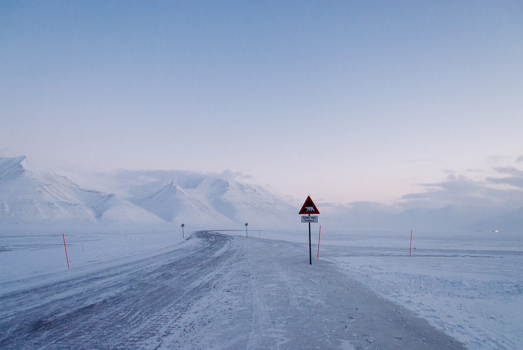 Archillect ID 379413