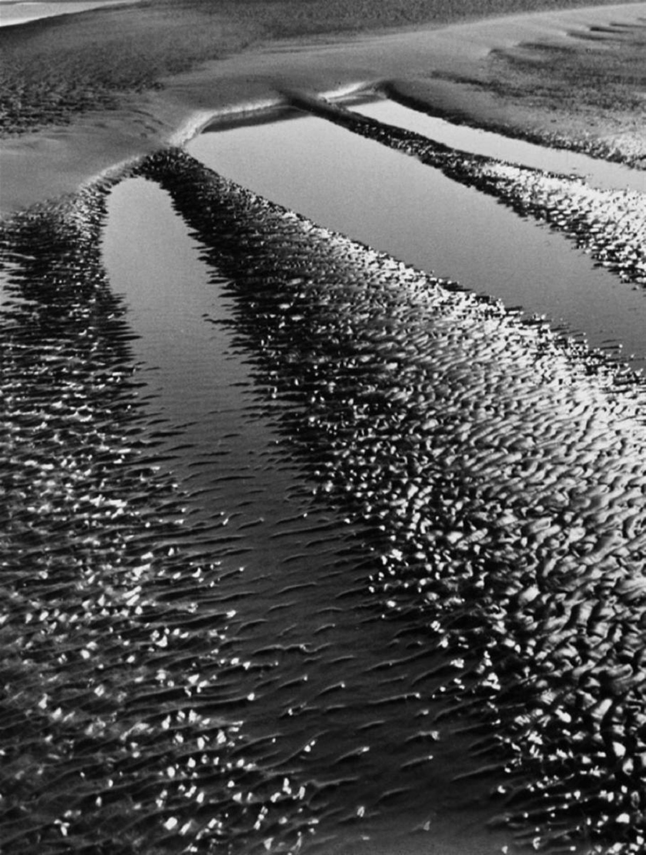 Archillect ID 379434