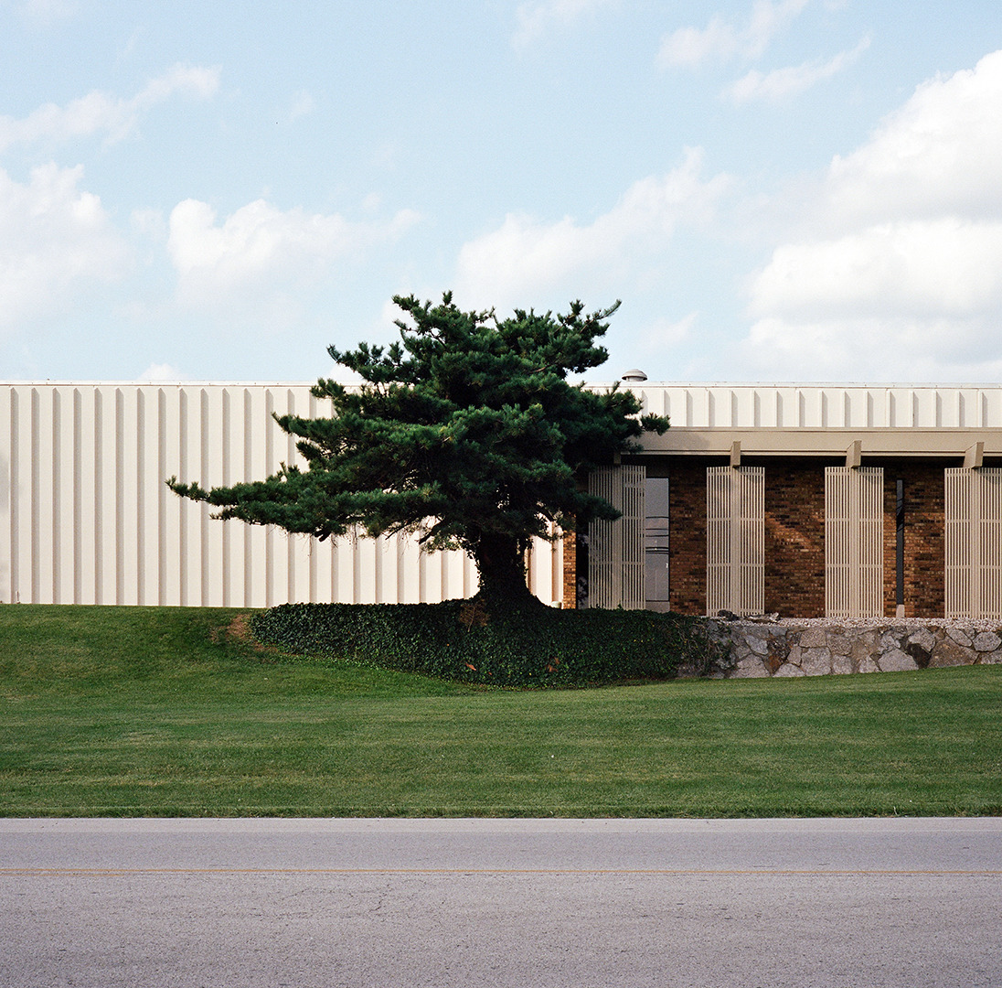 Archillect ID 379437