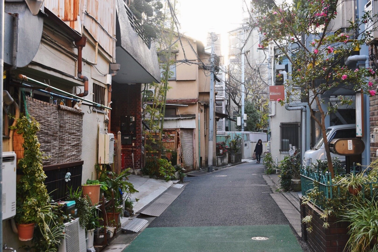 Archillect ID 379463