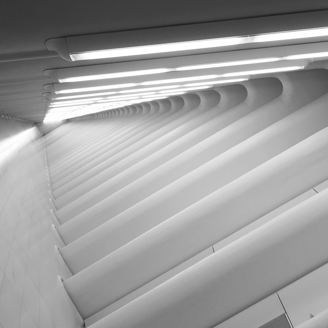 Archillect ID 379467