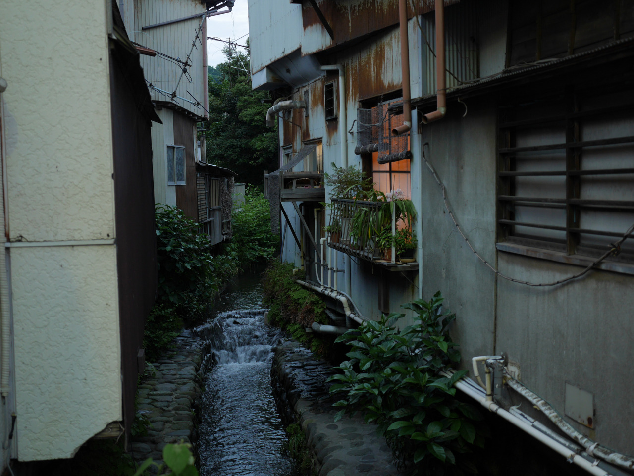 Archillect ID 379479