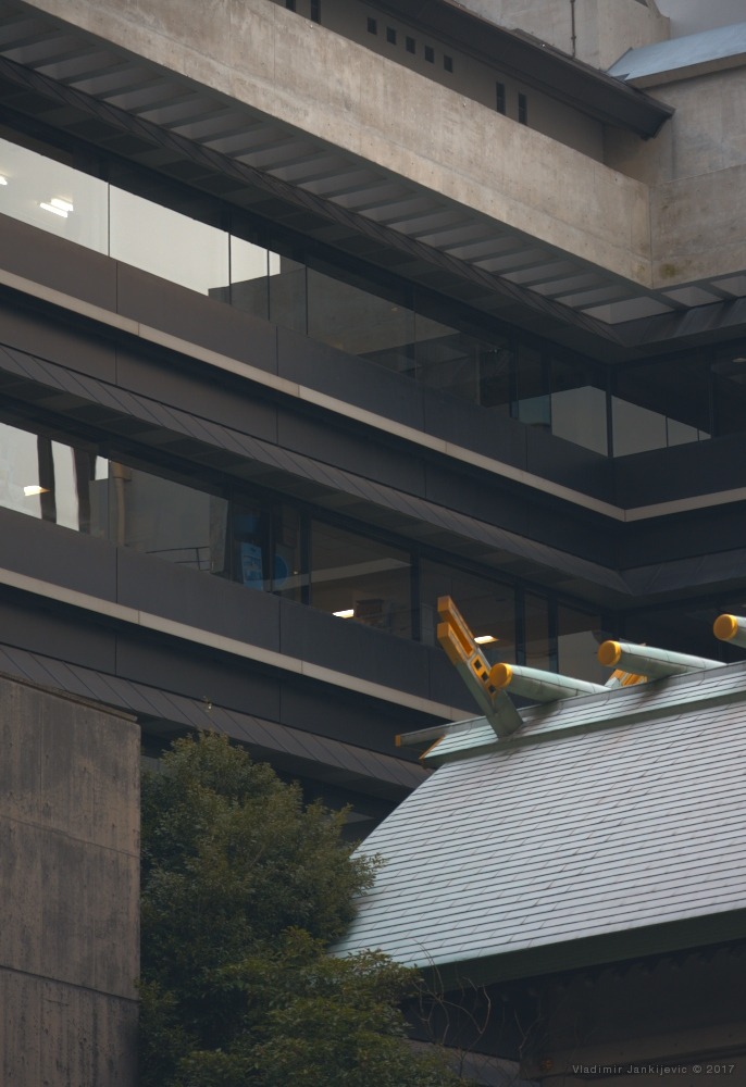 Archillect ID 379498