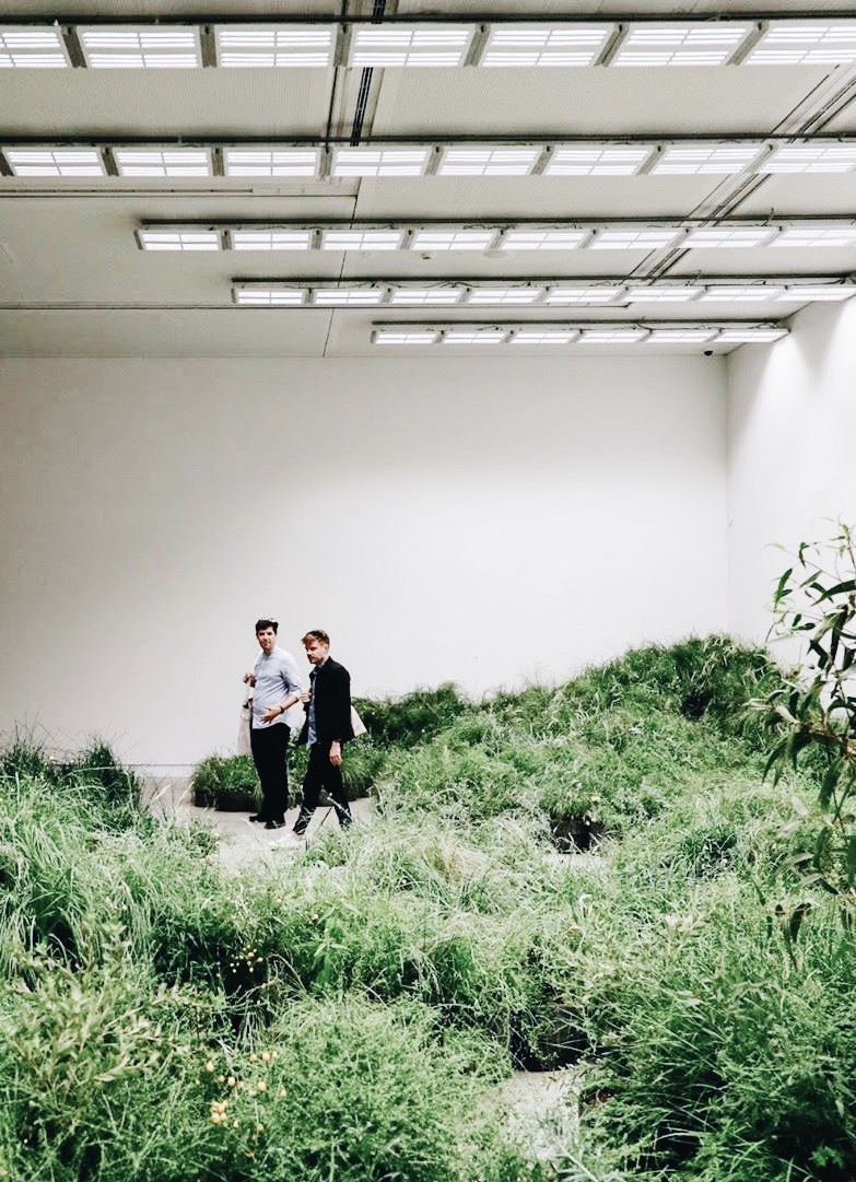 Archillect ID 379512