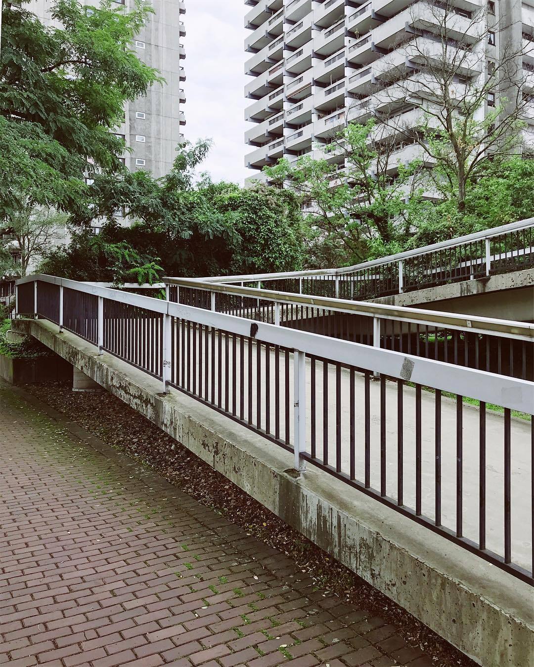 Archillect ID 379532