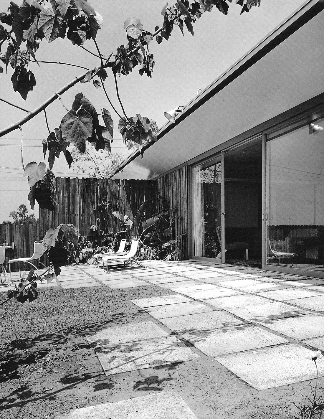 Archillect ID 379536